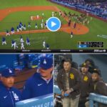 UNBELIEVABLE MOMENT (Video) Announcers laugh at star player’s action when benches clear in MLB game